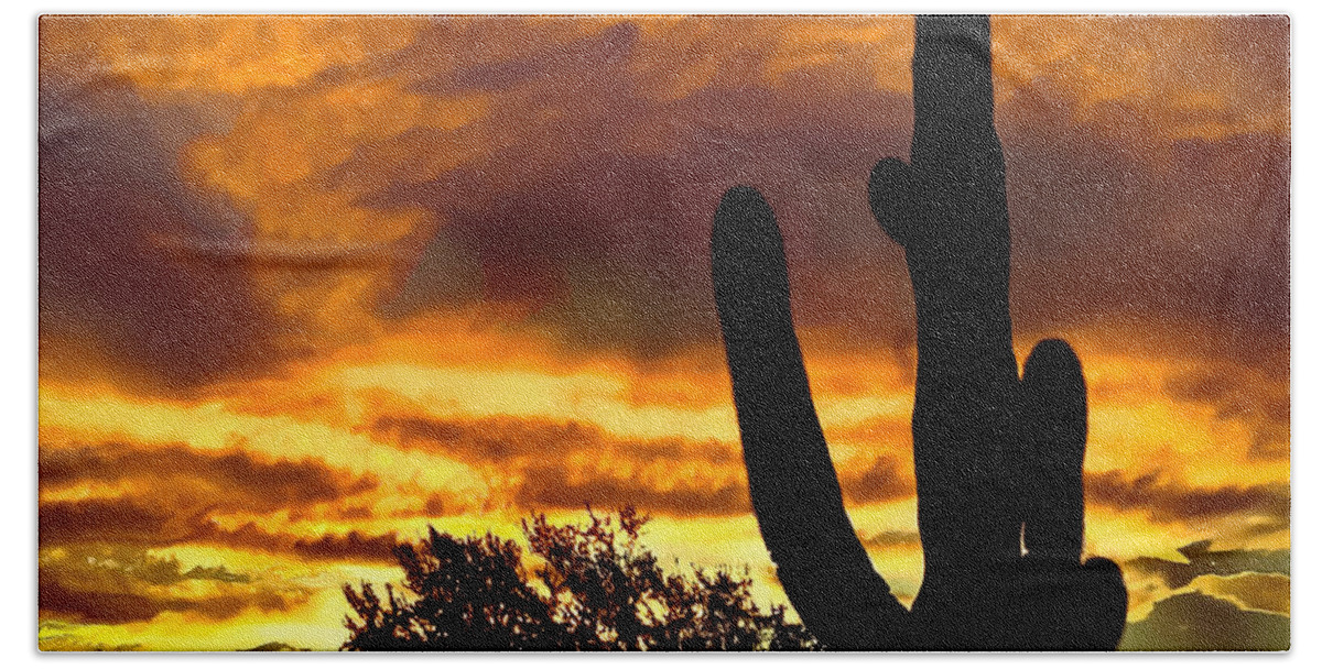Cactus Hand Towel featuring the photograph Saguaro Silhouette by Robert Bales