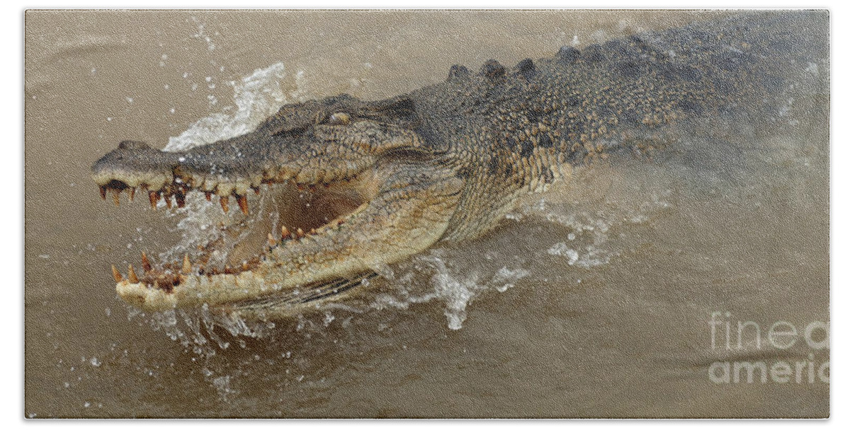 Crocodile Hand Towel featuring the photograph Saltwater Crocodile by Bob Christopher