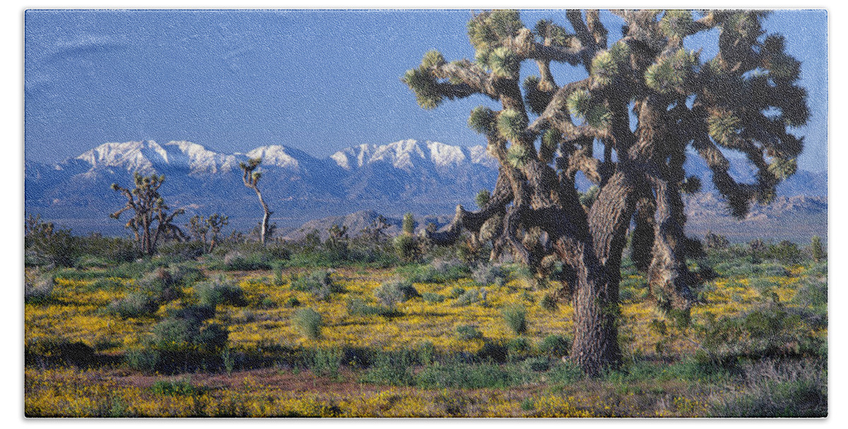 San Gabriel Mountains Bath Towel featuring the photograph 1B6804-San Gabriel Mnts from Antelope Valley by Ed Cooper Photography