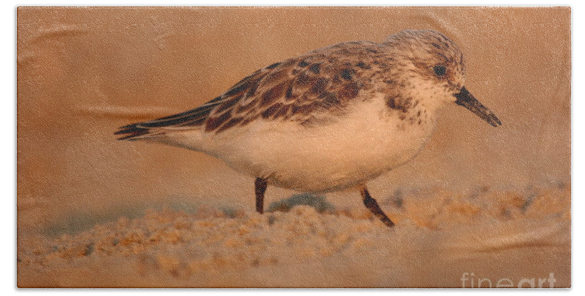 Sanderling Hand Towel featuring the photograph Sanderling Sunrise by John F Tsumas