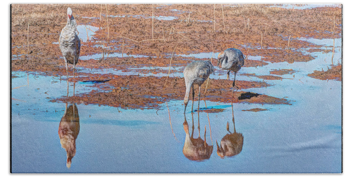 Bird Hand Towel featuring the photograph Sandhill Cranes 8 by Larry White