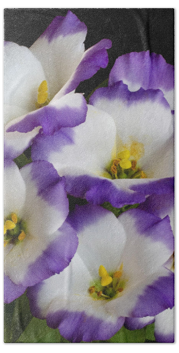 Floral Bath Towel featuring the photograph Sapphire Bluechip Lisianthus by David and Carol Kelly