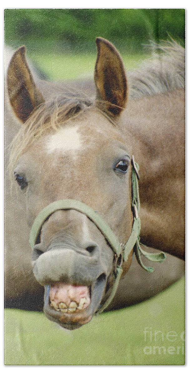 Horse Bath Towel featuring the photograph Say Cheese by Ang El