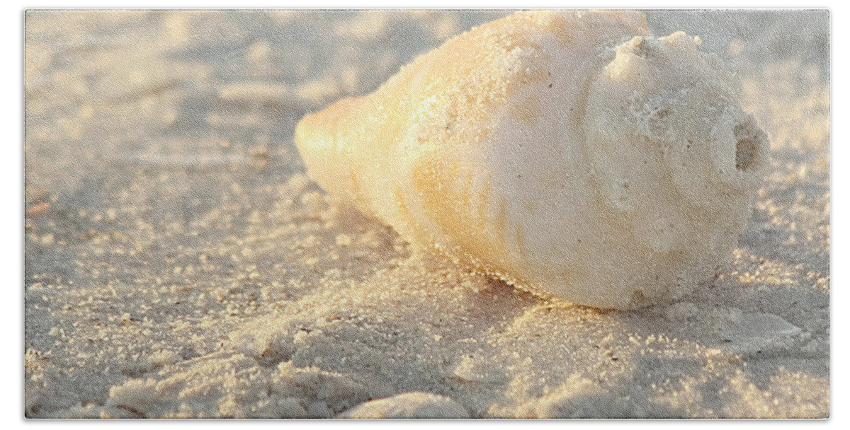 Nature Hand Towel featuring the photograph Sea Shells by Kim Hojnacki