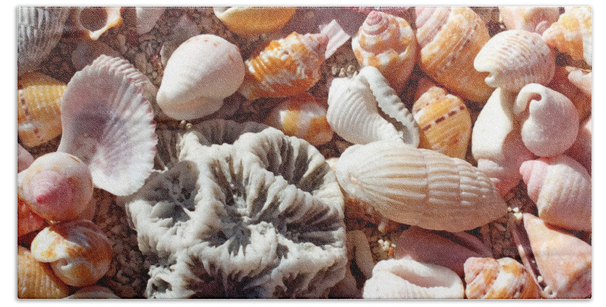 Duane Mccullough Bath Towel featuring the photograph Sea Shells Upclose 5 by Duane McCullough
