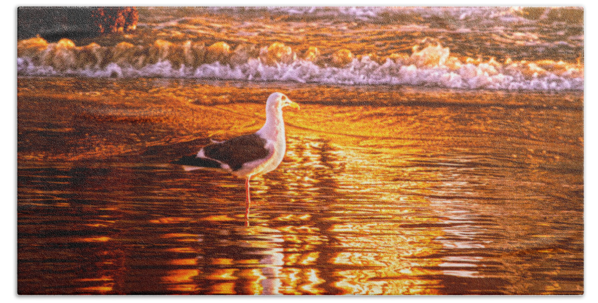 Seagull Bath Towel featuring the photograph Seagul reflects on a Golden Molten Shore by Denise Dube