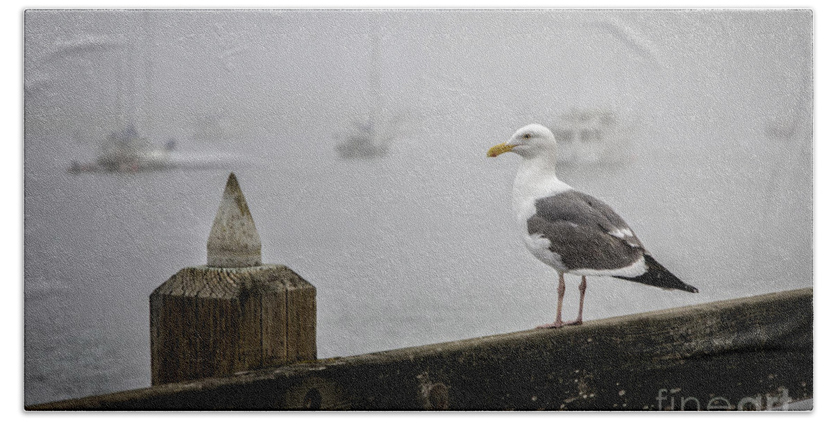 Los Osos Bath Towel featuring the photograph Seagull In Fog 1 by Timothy Hacker