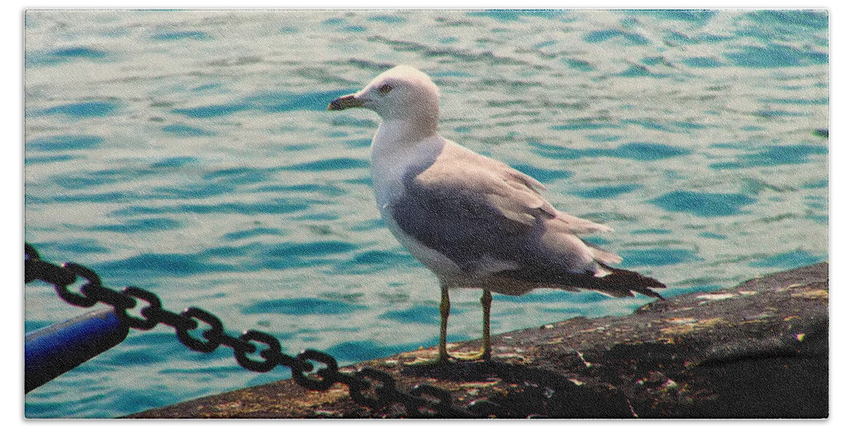 Seagull Hand Towel featuring the photograph Seagull On The Chicago Seawall by Flees Photos