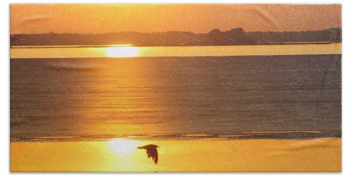 Ocean City Bath Towel featuring the photograph Seagull Through Sunset by Robert Banach