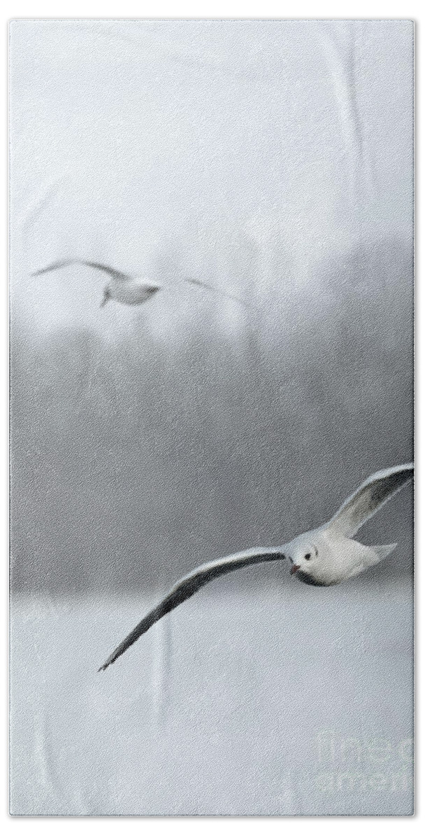 Bird Hand Towel featuring the photograph Seagulls by Jelena Jovanovic
