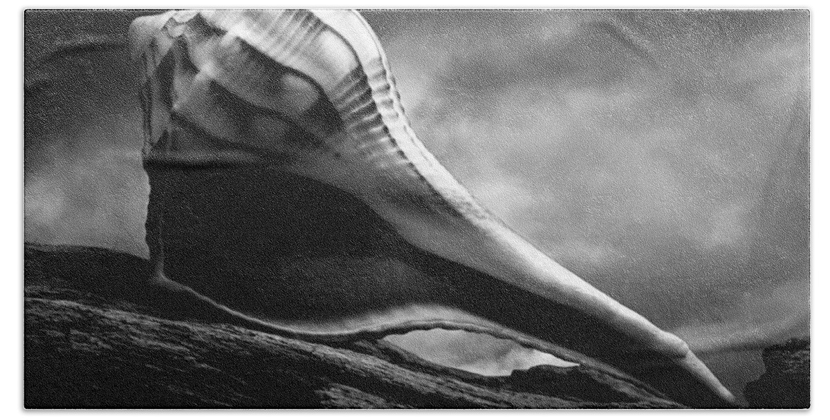 Shell Bath Towel featuring the photograph Seashell Without The Sea 3 by Bob Orsillo