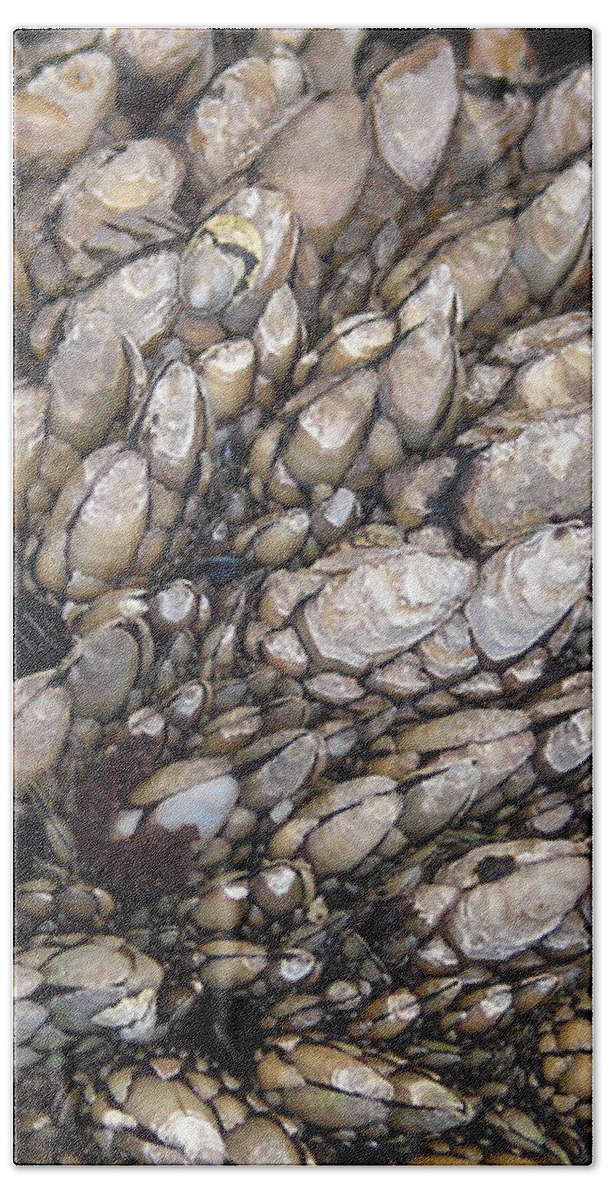 Seashells Bath Towel featuring the photograph Seashells by Carl Moore