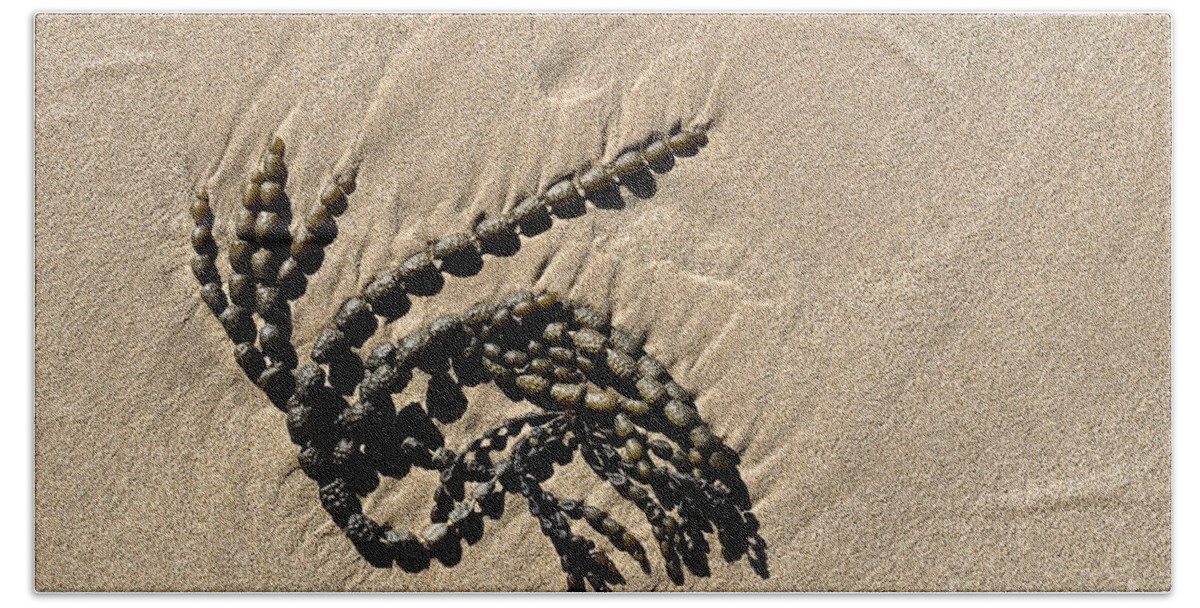 Seaweed Bath Towel featuring the photograph Seaweed on beach by Steven Ralser
