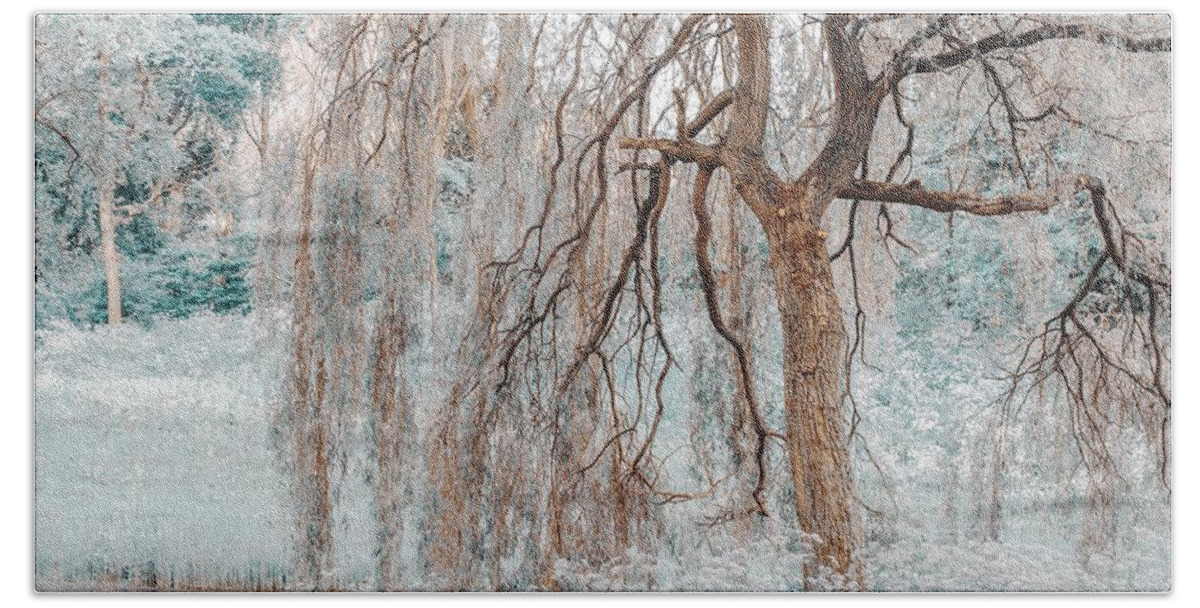 Nature Bath Towel featuring the photograph Secret Life of the Willow Tree. Nature in Alien Skin by Jenny Rainbow