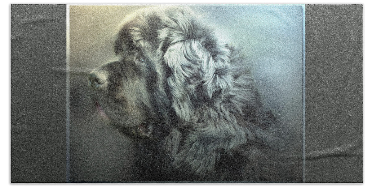 Newfoundland Dog. Black. Newf Bath Sheet featuring the digital art Seen the light by Gary Yates