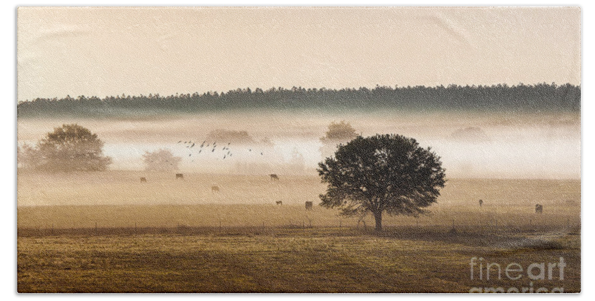 Animal Bath Towel featuring the photograph Sepia Landscape from 500 feet by Jo Ann Tomaselli