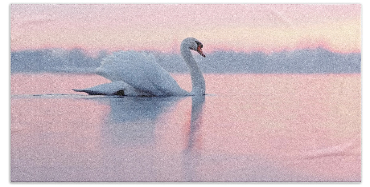 Mute Swan Hand Towel featuring the photograph Serenity  Mute Swan at Sunset by Roeselien Raimond