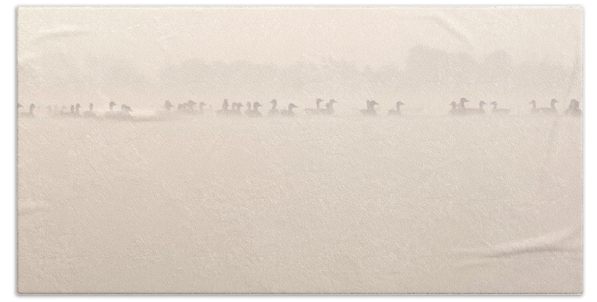 Anser Hand Towel featuring the photograph Serenity by Roeselien Raimond