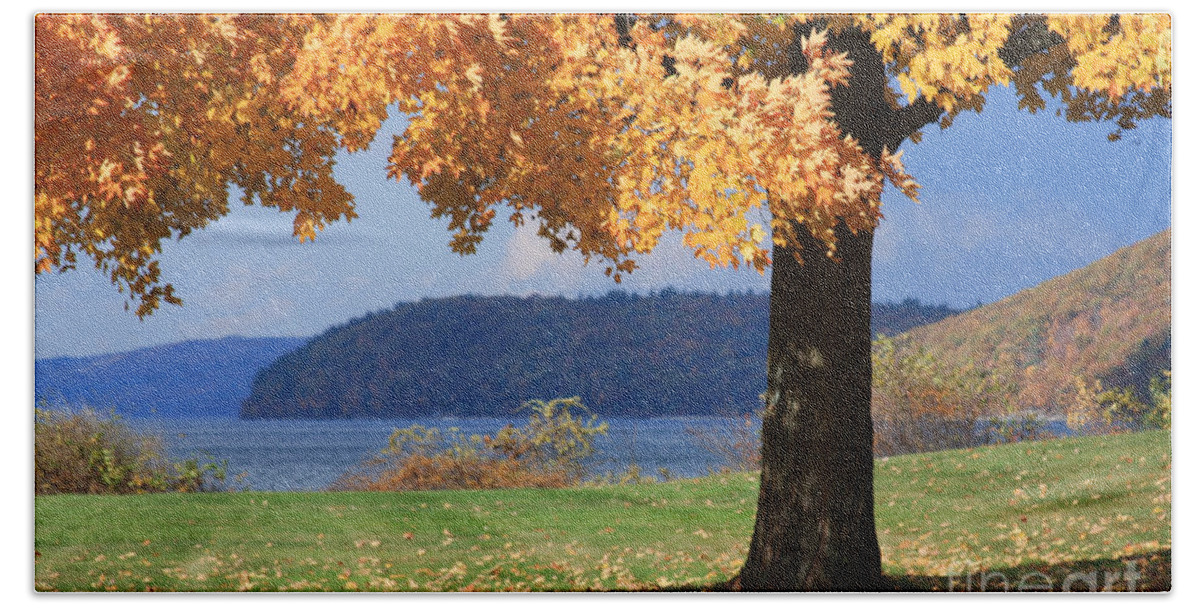 Maple Bath Towel featuring the photograph Shade Tree in Fall by Jayne Carney
