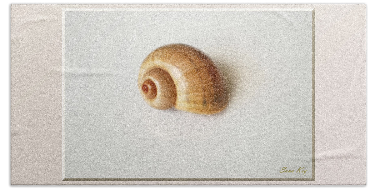 Shell. Delicate Colors Hand Towel featuring the photograph Shell. Delicate colors by Oksana Semenchenko