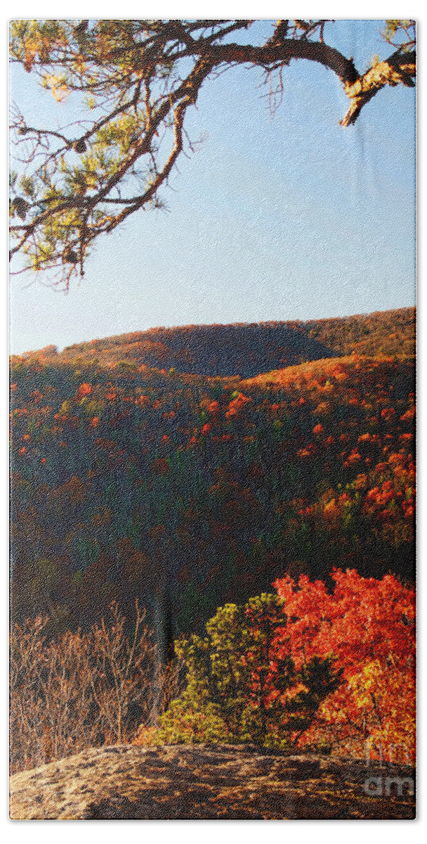 Photograph Hand Towel featuring the photograph Shenandoah In The Fall by M Three Photos
