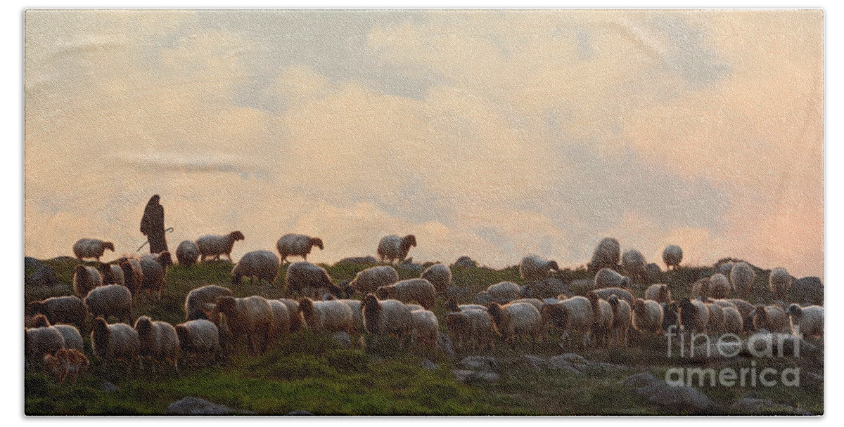 Sheep Art Hand Towel featuring the painting Shepherd With Sheep by Constance Woods