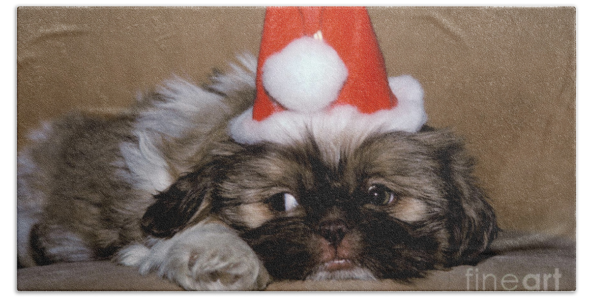 Animal Hand Towel featuring the photograph Shih Tzu Dressed As Santa Claus by Ron Sanford