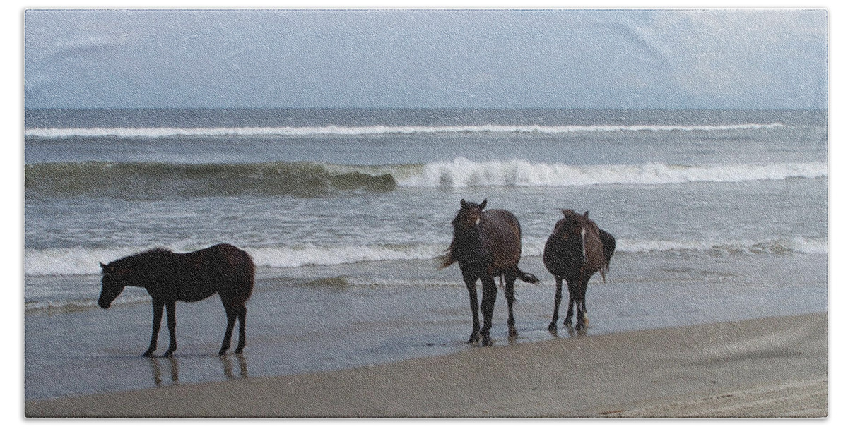 Wild Spanish Mustangs Hand Towel featuring the photograph Shoreline Stroll by Kim Galluzzo