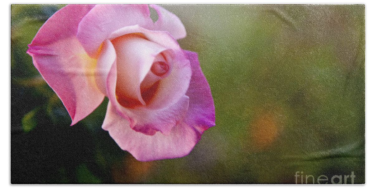 Rose Photographs Hand Towel featuring the photograph Short lived beauty by David Millenheft