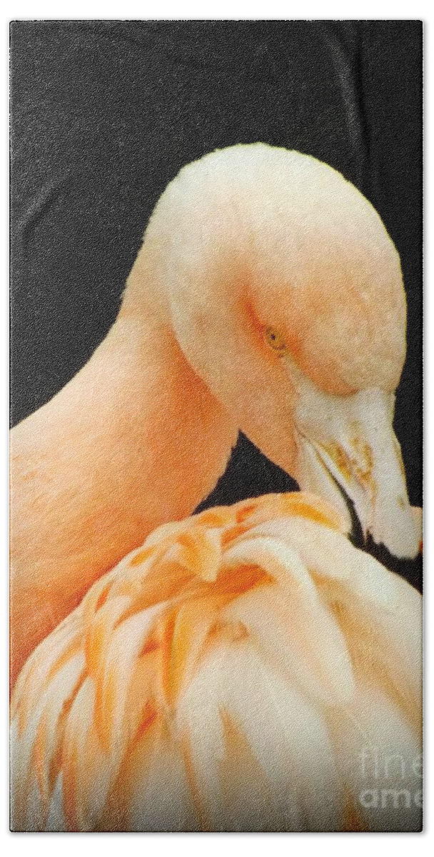 Flamingo Bath Towel featuring the photograph Shy by Clare Bevan
