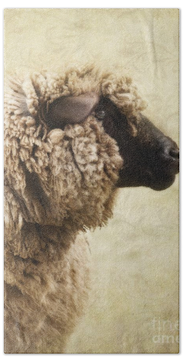 Sheep Hand Towel featuring the photograph Side Face Of A Sheep by Priska Wettstein