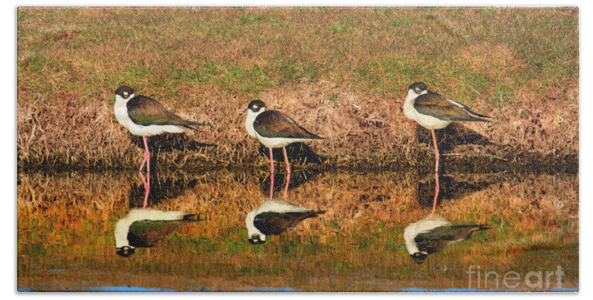 Water Bath Towel featuring the photograph Siesta Time by Robert Bales