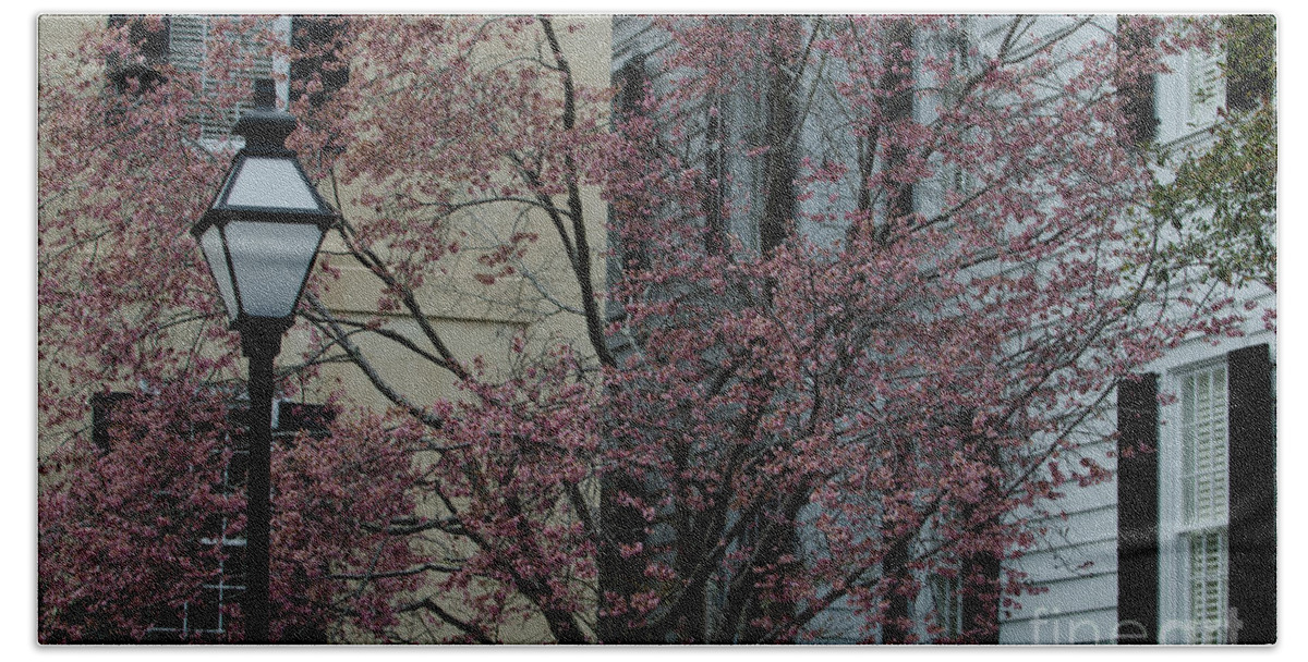 Dogwood Bath Towel featuring the photograph Signs of Spring by Dale Powell