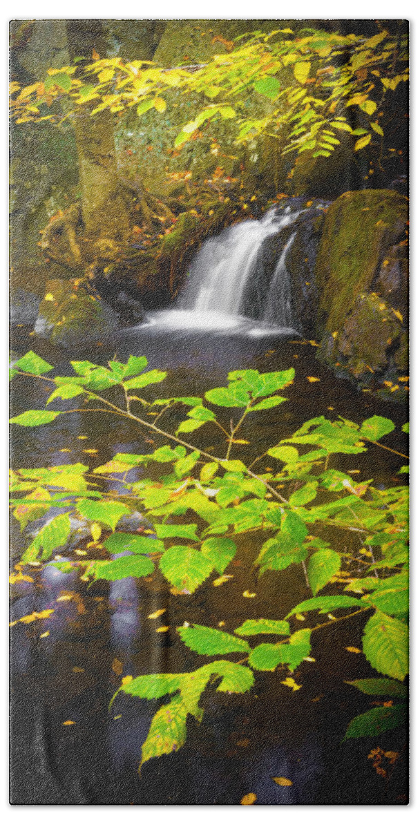 Leaves Hand Towel featuring the photograph Silent Brook by Mark Rogers