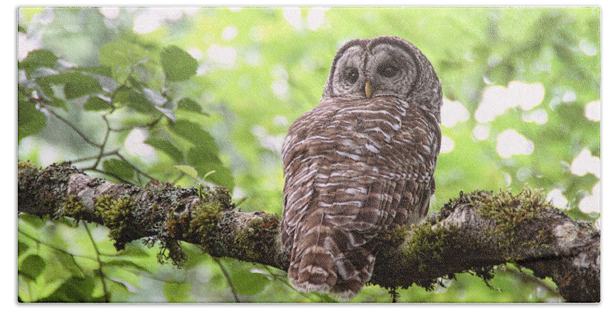 Owls Bath Towel featuring the photograph Silent Watcher of the Woods by Peggy Collins