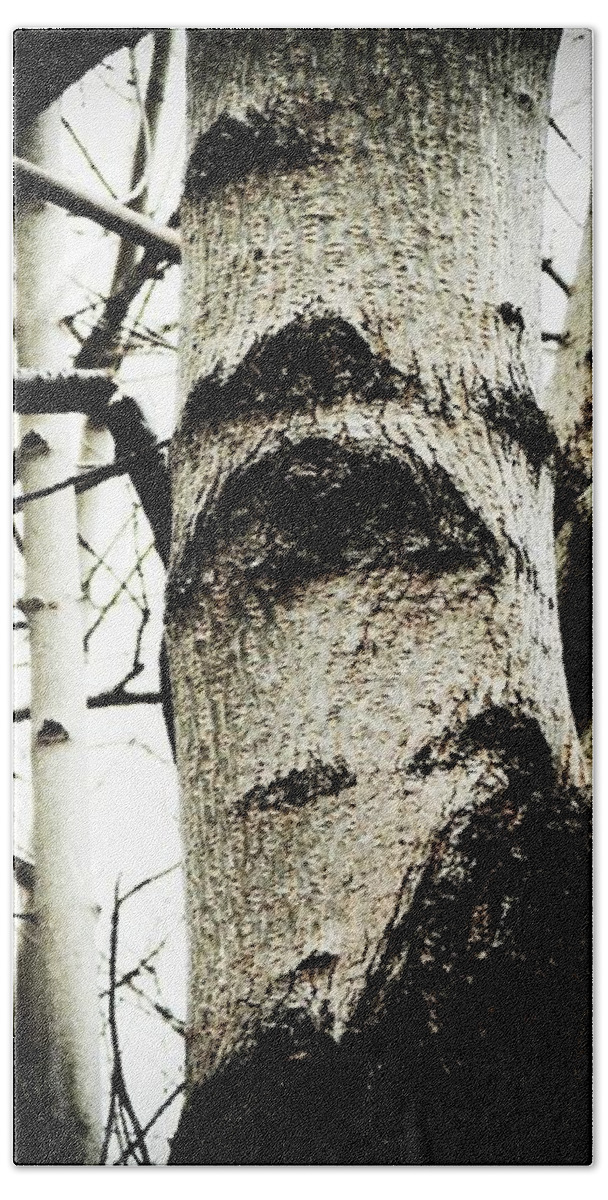 Tree Bath Towel featuring the photograph Silent Witness by Zinvolle Art