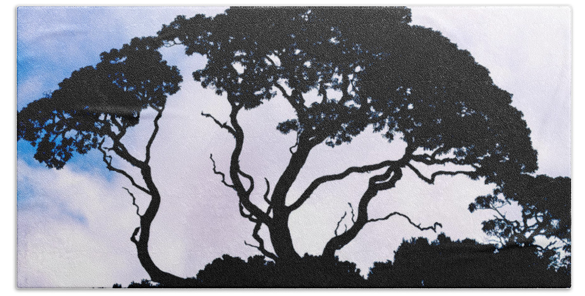 Tree Bath Towel featuring the photograph Silhouette by Jim Thompson