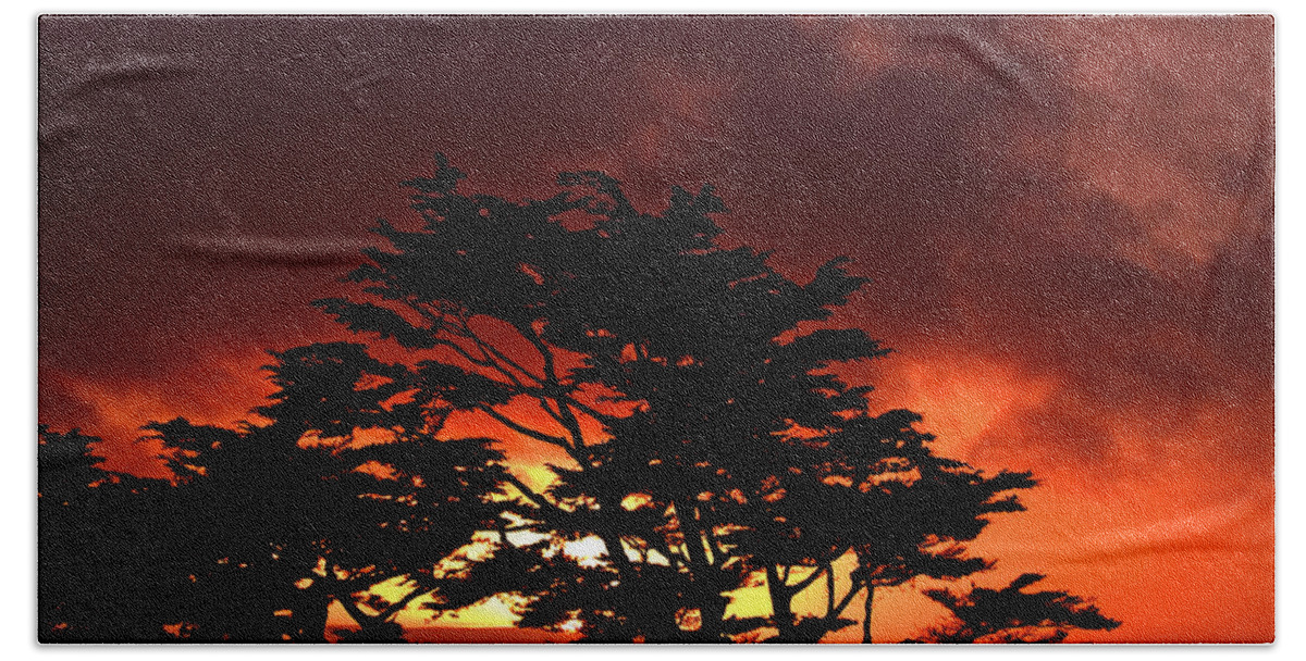 Sunset Bath Towel featuring the photograph Silhouetted Cypresses by Bill Gallagher