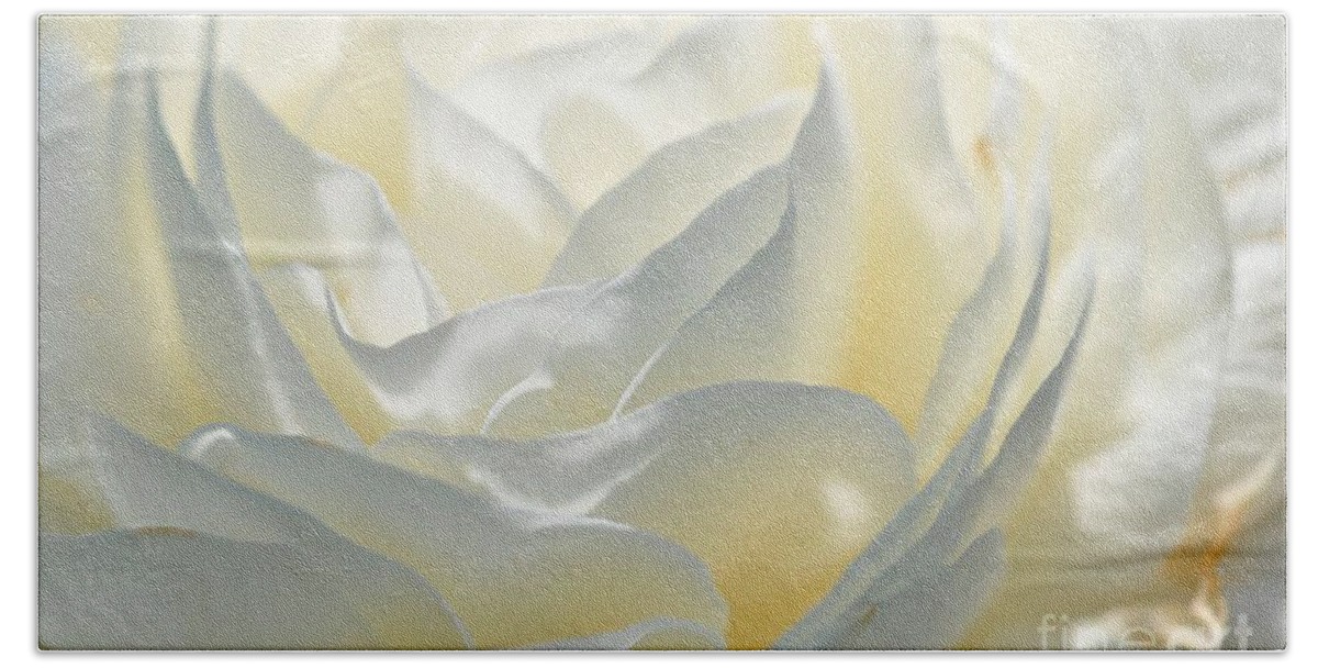  Flower Bath Towel featuring the photograph Silk Cream Floral by Elaine Manley
