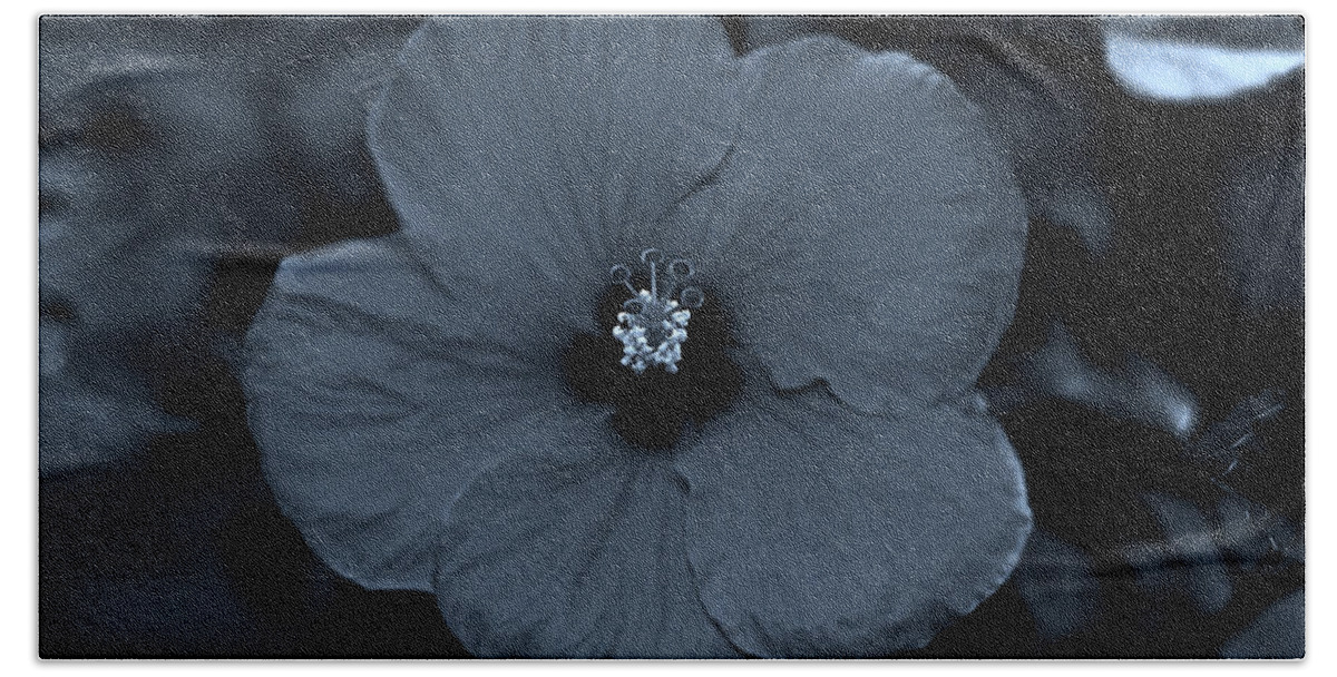 Hibiscus Hand Towel featuring the photograph Silky Blue Sepia Hibiscus Flower by Connie Fox