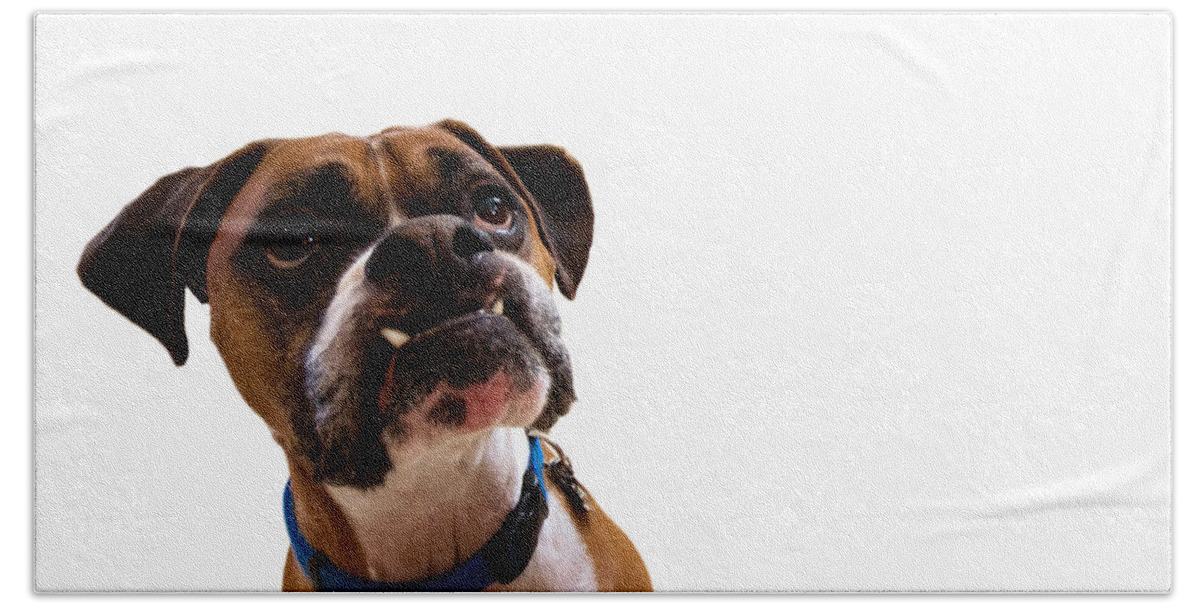 Boxer Hand Towel featuring the photograph Silly Boxer Dog by Stephanie McDowell
