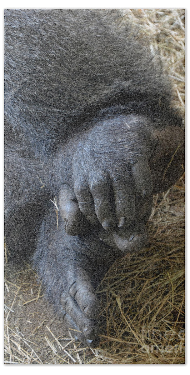 Silverback Toes Bath Towel featuring the photograph Silverback Toes by Robert Meanor