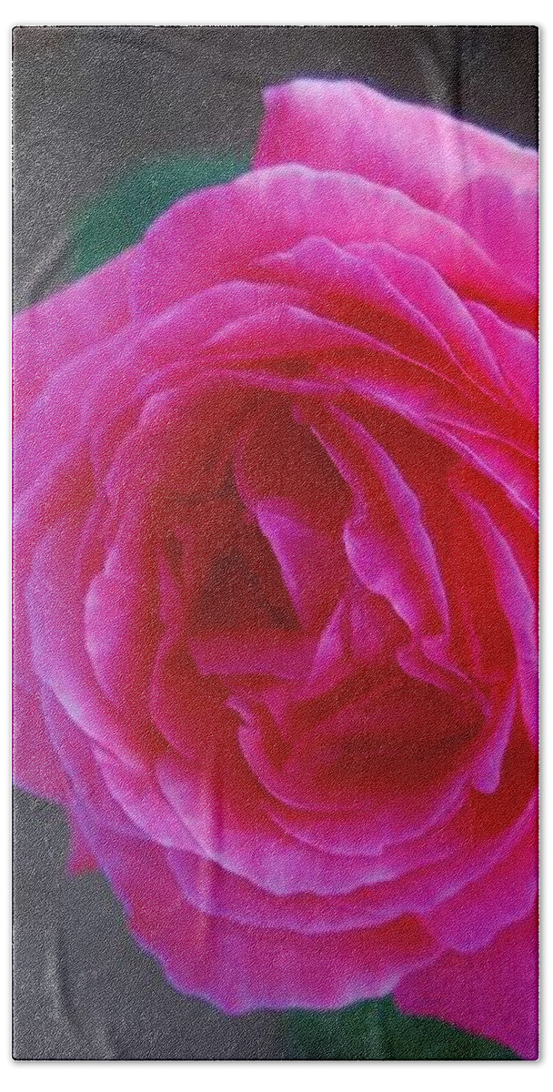 Garden Rose Bath Towel featuring the photograph SimPLy a RoSE by Angela J Wright