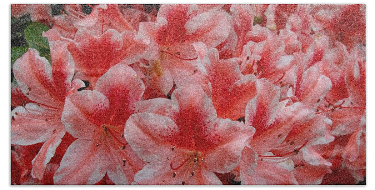 Fine Art Hand Towel featuring the photograph Simply Azaleas by Rodney Lee Williams