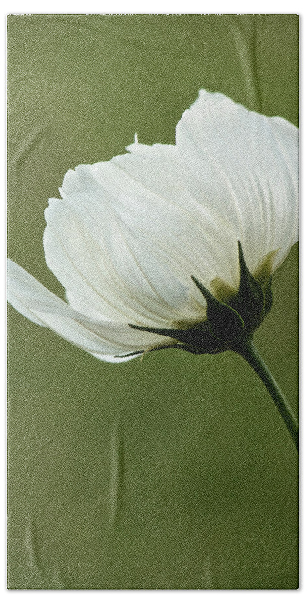 Flower Hand Towel featuring the photograph Simply Beautiful by Penny Meyers