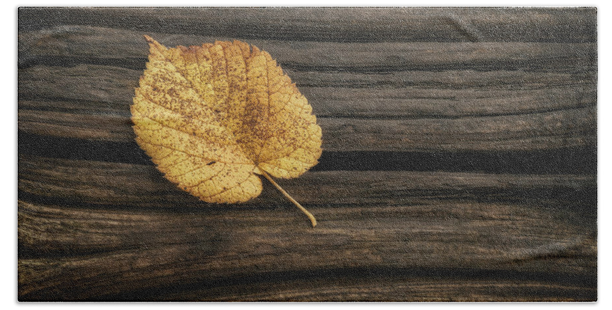 Leaf Bath Towel featuring the photograph Single Yellow Birch Leaf by Scott Norris