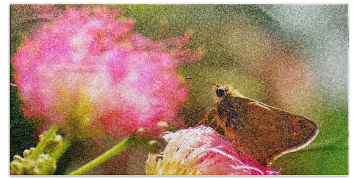 Macro Bath Towel featuring the photograph Skipper Butterfly on Mimosa Flower by Jason Politte