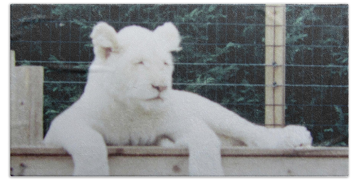 Lion Bath Towel featuring the photograph Sleepy by Donna Brown