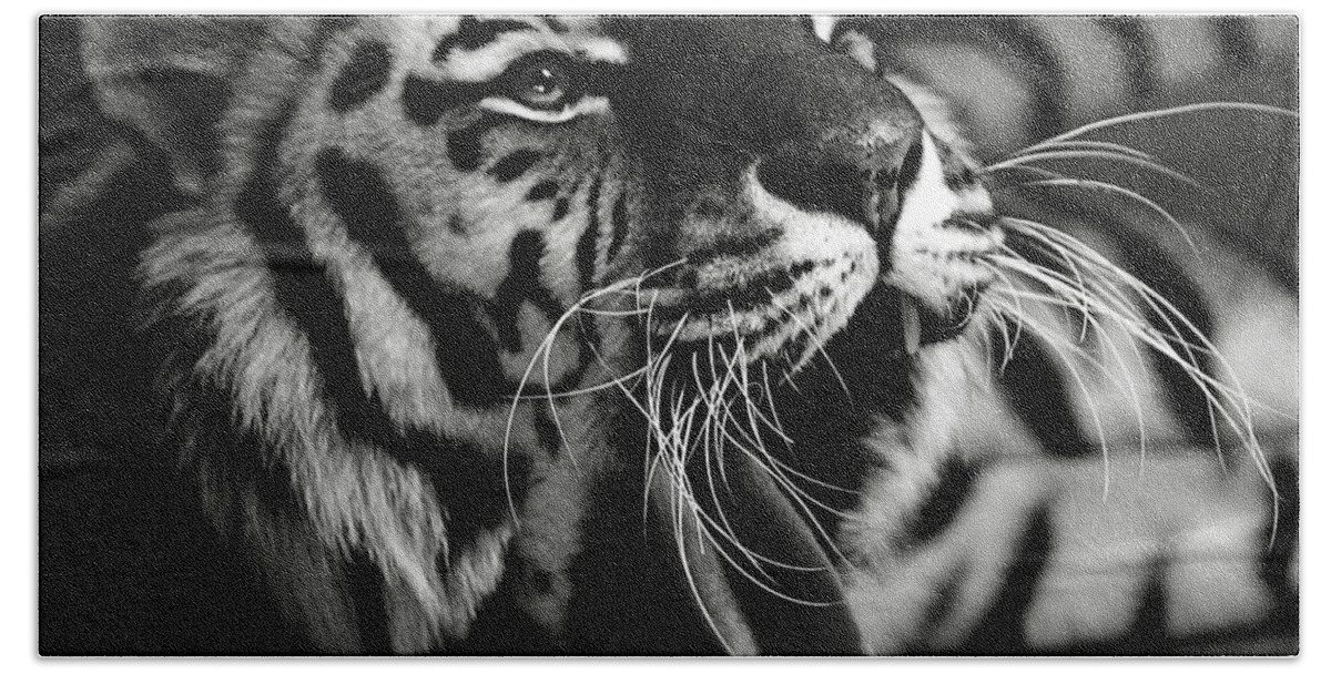 Tiger Hand Towel featuring the photograph Sleepy Tiger by Martin Newman