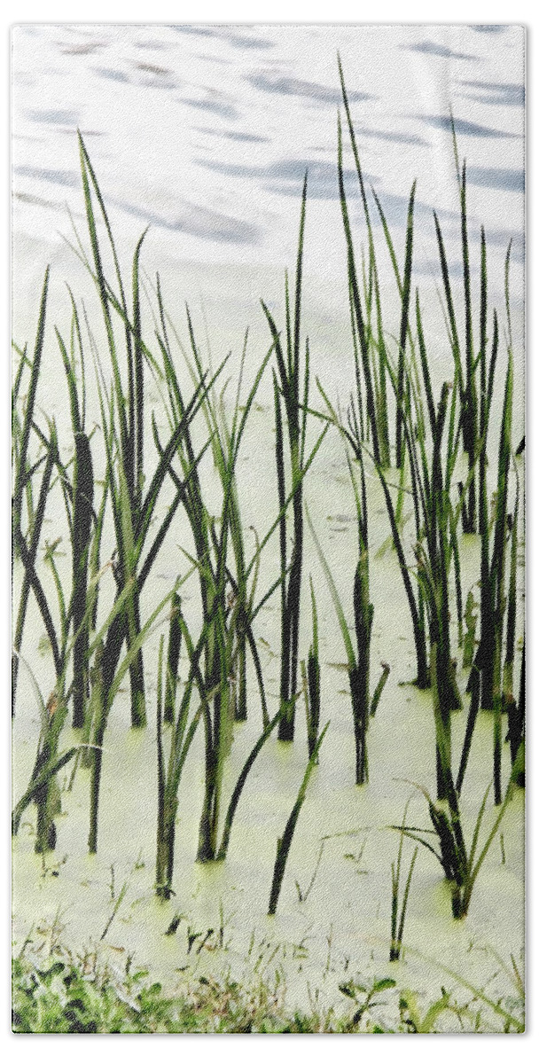 Reeds Canvas Print Bath Towel featuring the photograph Slender Reeds by Lucy VanSwearingen